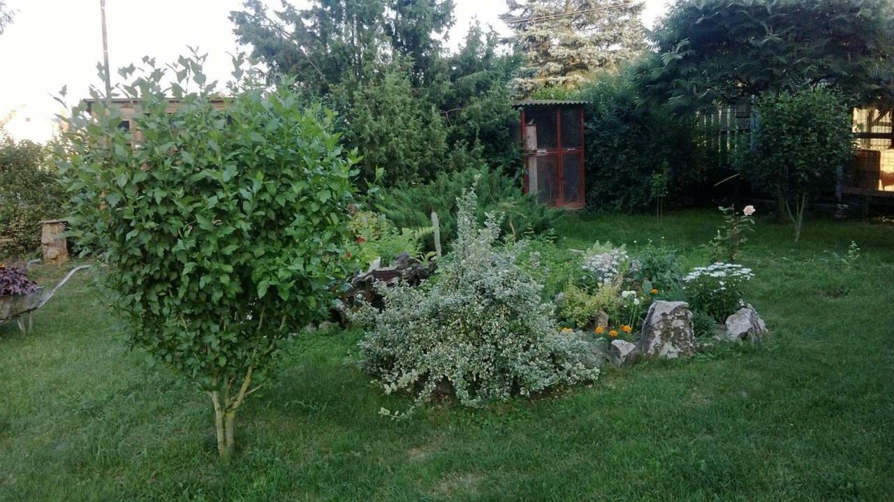 Barnabáš Rusnák Ubytovanie v súkromí Mucin Exterior foto